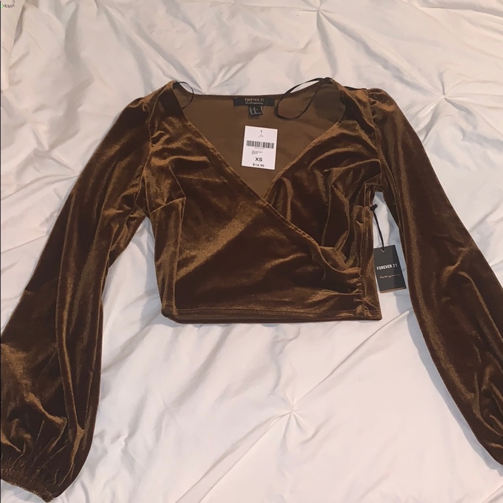 Brown velour long puff sleeve crop top